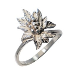 Hõbesõrmus Nr. 176