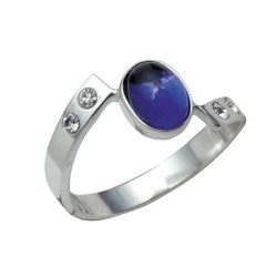 Hõbesõrmus Nr. 242