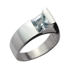 Hõbesõrmus Nr. 249