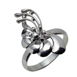 Hõbesõrmus Nr. 255