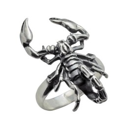 Hõbesõrmus Nr. 258