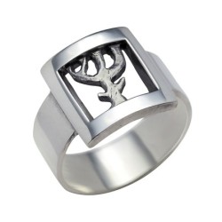 Hõbesõrmus Nr. 284