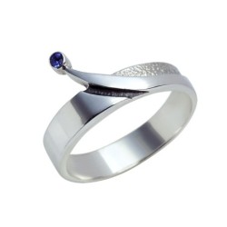 Hõbesõrmus Nr. 341