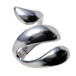 Hõbesõrmus Nr. 434