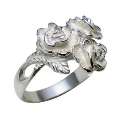 Hõbesõrmus Nr. 439