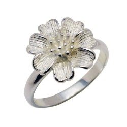 Hõbesõrmus Nr. 453