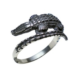 Hõbesõrmus Nr. 456