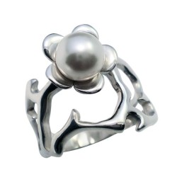 Hõbesõrmus Nr. 484