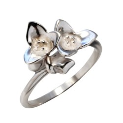 Hõbesõrmus Nr. 549