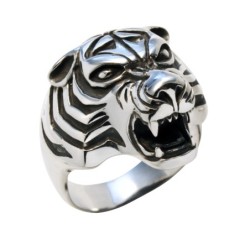 Hõbesõrmus Nr. 560