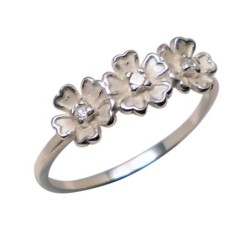 Hõbesõrmus Nr. 617