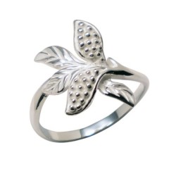 Hõbesõrmus Nr. 629