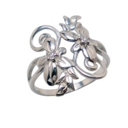 Hõbesõrmus Nr. 717