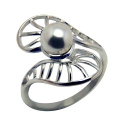 Hõbesõrmus Nr. 801