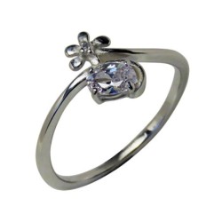 Hõbesõrmus Nr. 855