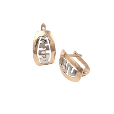 Kuldkõrvarõngad Nr. 5184