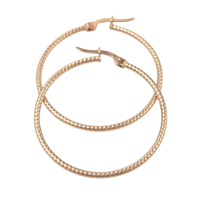 Kuldkõrvarõngad Nr. 5018