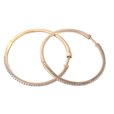 Kuldkõrvarõngad Nr. 102-10051