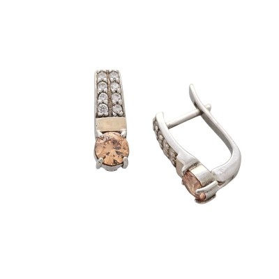 Hõbekõrvarõngad Nr. BS/1954